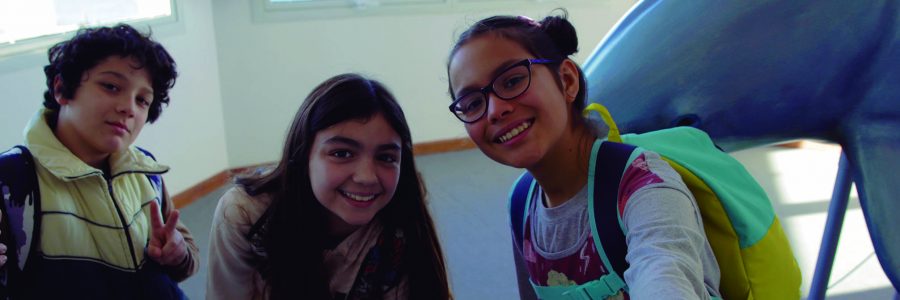 Minimisiones